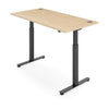 ACTIVE 2 Dual Motor Electric Standing Desk 120x70cm