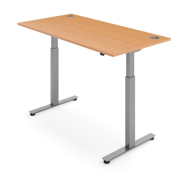 ACTIVE 2 Dual Motor Electric Standing Desk 100x60cm