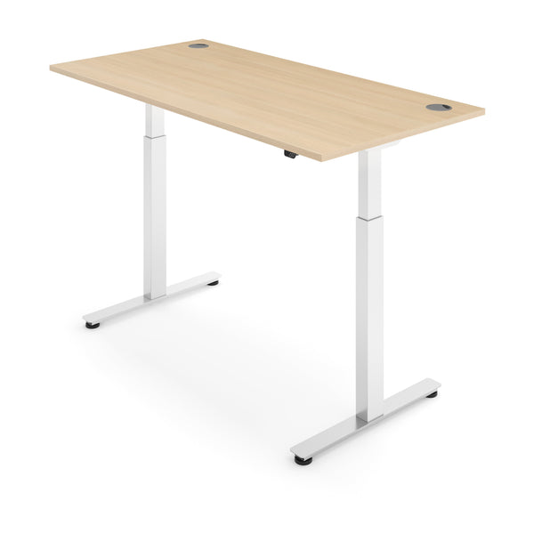 ACTIVE 2 Dual Motor Electric Standing Desk 100x60cm