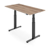 ACTIVE 2+ Dual Motor Electric Standing Desk 120x80cm