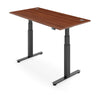 ACTIVE 2+ Dual Motor Electric Standing Desk 120x80cm