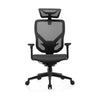 E-Form Ergonomic Mesh Chair