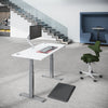 FLYTTA 2+ Dual Motor Electric Standing Desk 140x80cm