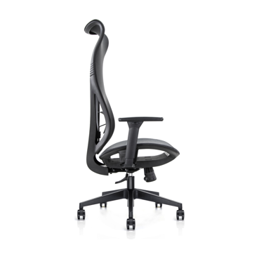 Mala Ergonomic Chair