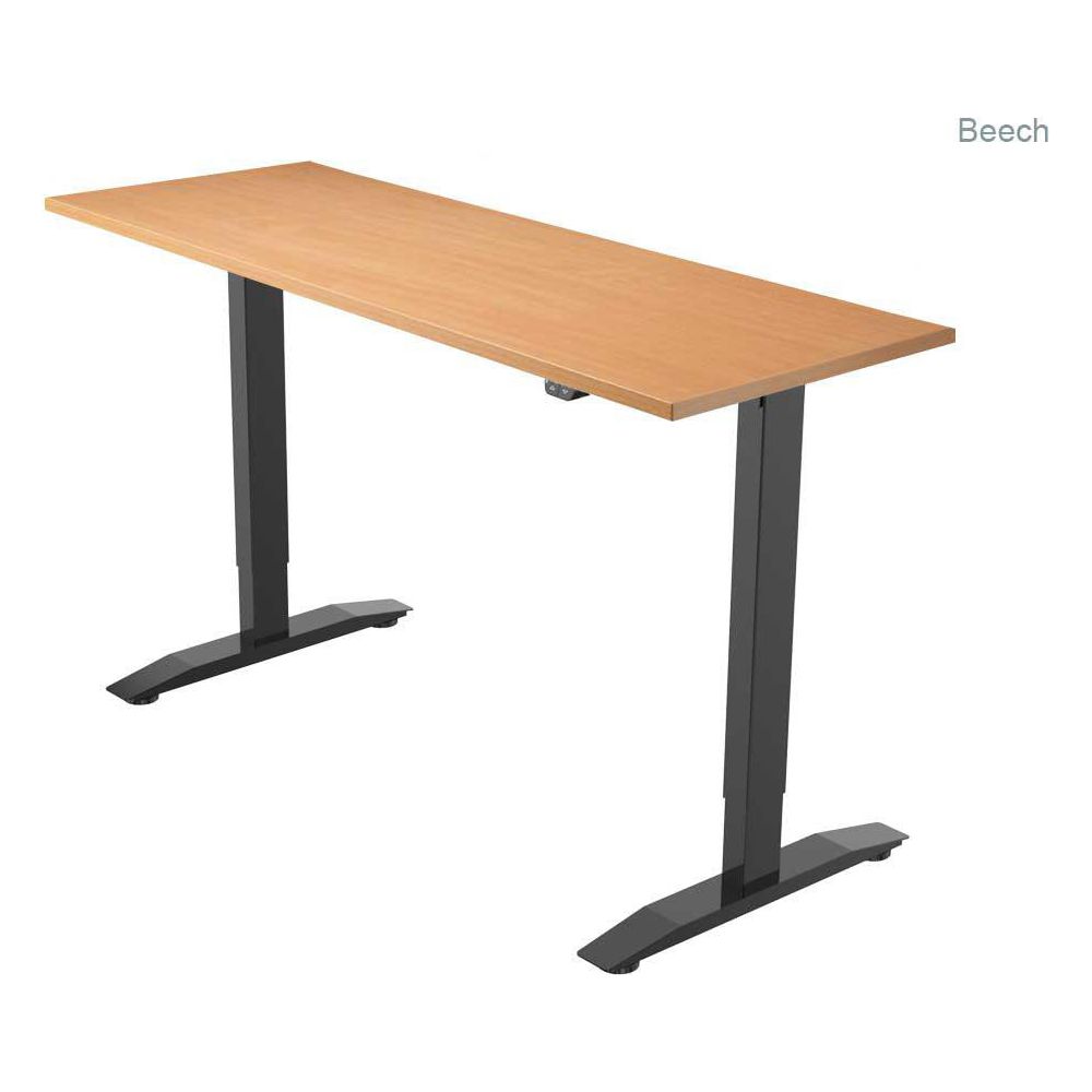 PRO 1 Single Motor Electric Standing Desk 100x60cm