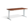 Advance 1600mm Wide - Height Adjustable Desk - UK Ergonomics